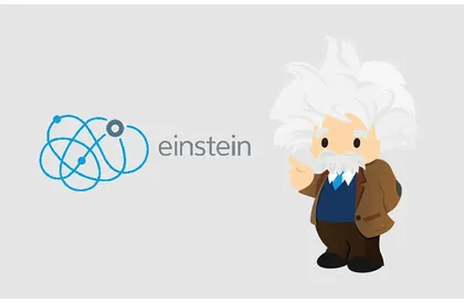 Salesforce Einstein (Customer Analytics)
