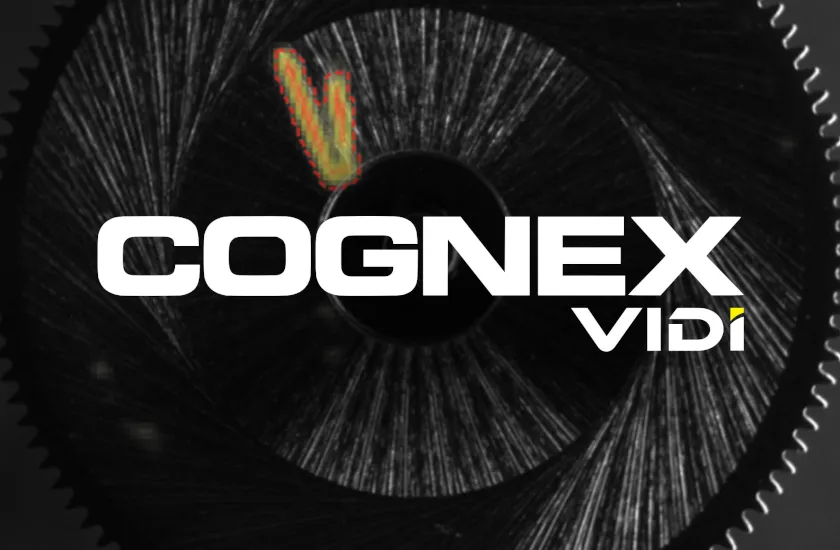 Cognex (с Vision AI)