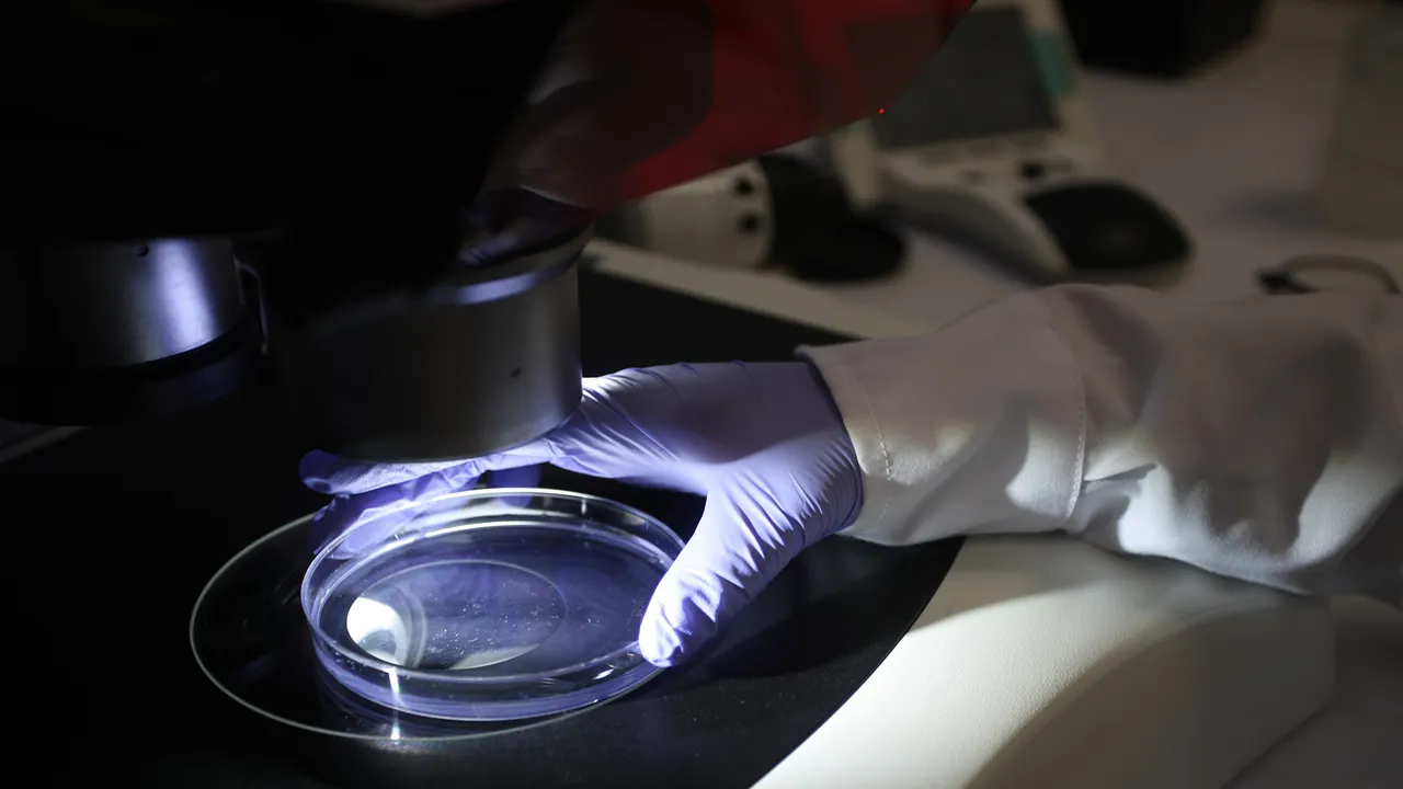 AI-Designed Viruses Successfully Kill Bacteria in Lab Tests